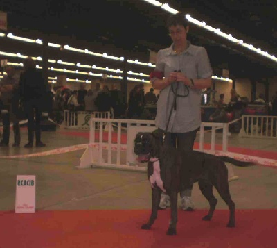 Tribu du Lynou - Paris Dog Show