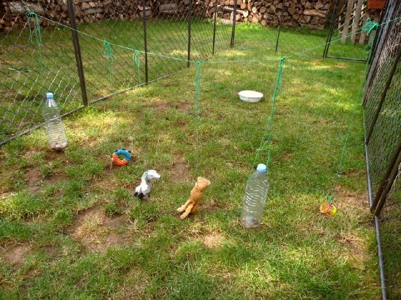 Les bébés de Hally et de Homerun 2014: cour de récréation
